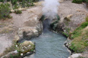 geiser Yellowstone nationalpark